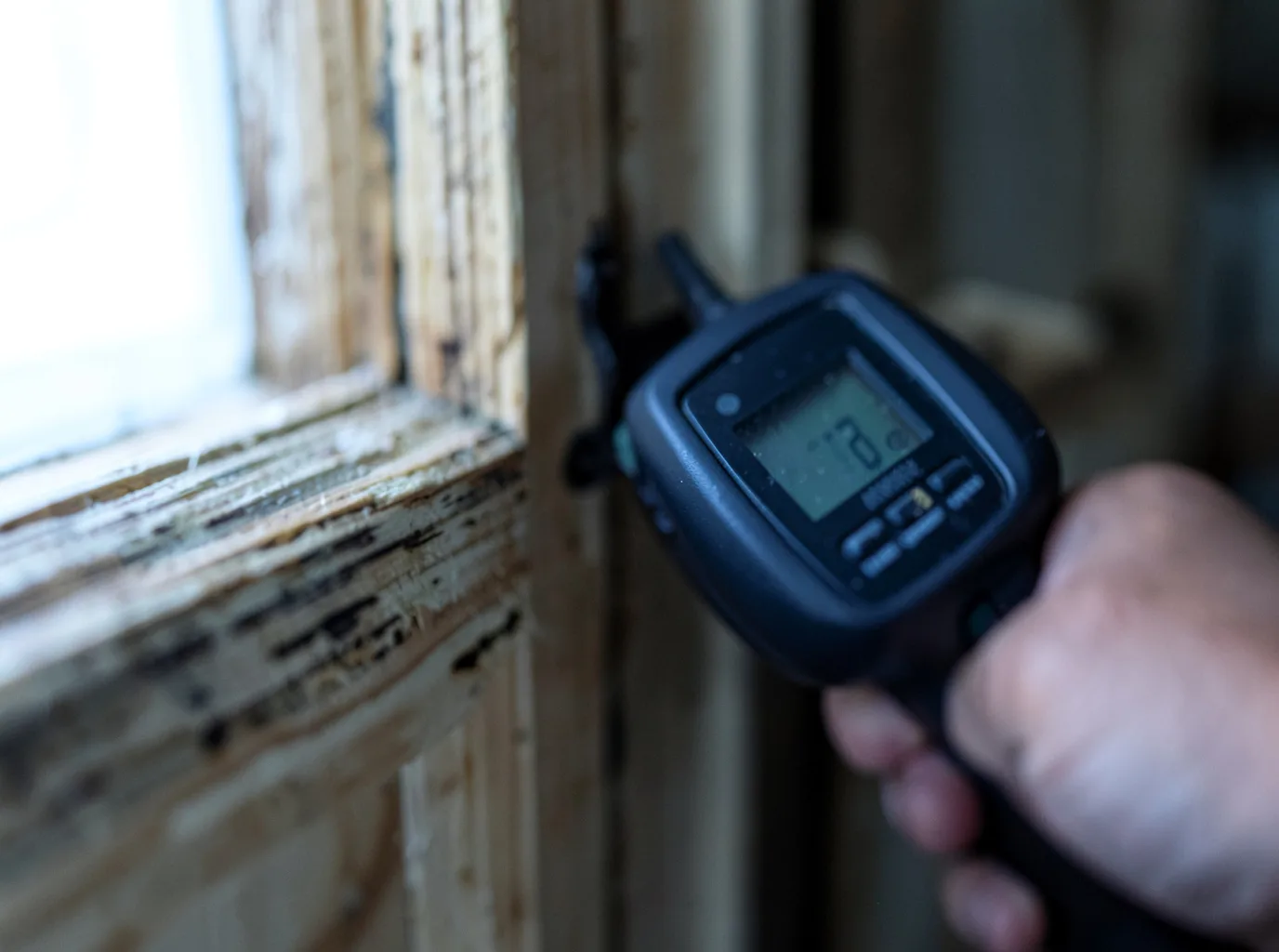 Commercial Water Damage Restoration in Chimacum, WA